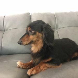 Meet your Posher, Jocelyn